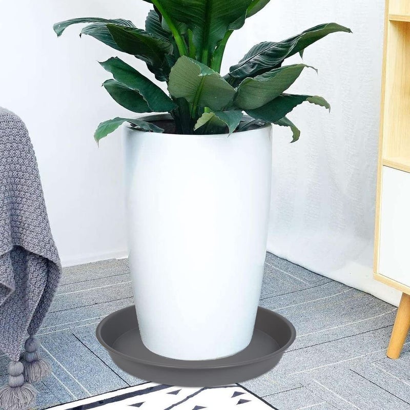VUWEZ 6 Pack of Plant Saucer 8 Inch, 8 inch Plant Saucer Round, Plastic Flower Plant Trays for Pots, Plant Saucers for Indoors 8"", Plant Pot Saucers, Planter Tray for Planter 6-8"" (8"", Gray) - Image 3